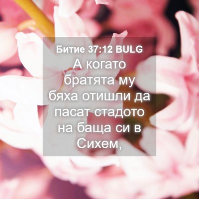 Picture 04 - Битие 37:12 BULG - А когато братята му бяха - Bible Verse Picture