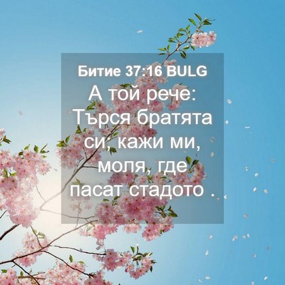 Picture 04 - Битие 37:16 BULG - А той рече: Търся братята - Bible Verse Picture