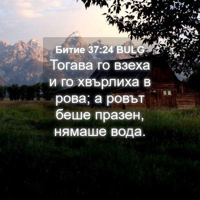 Picture 04 - Битие 37:24 BULG - Тогава го взеха и го - Bible Verse Picture