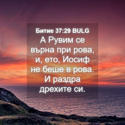 Picture 04 - Битие 37:29 BULG - А Рувим се върна при рова, - Bible Verse Picture