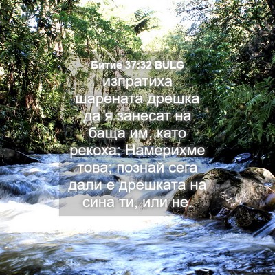 Picture 04 - Битие 37:32 BULG - изпратиха шарената дрешка - Bible Verse Picture