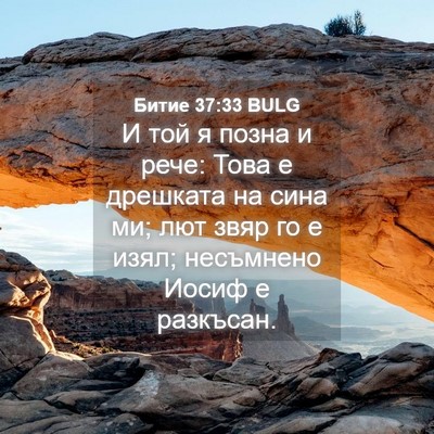 Picture 04 - Битие 37:33 BULG - И той я позна и рече: Това е - Bible Verse Picture
