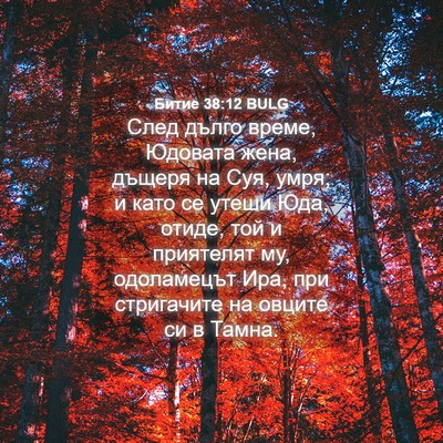 Picture 04 - Битие 38:12 BULG - След дълго време, Юдовата - Bible Verse Picture
