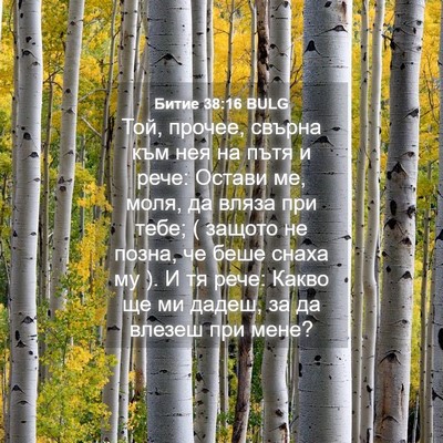 Picture 04 - Битие 38:16 BULG - Той, прочее, свърна към нея - Bible Verse Picture
