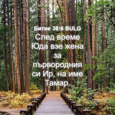 Picture 04 - Битие 38:6 BULG - След време Юда взе жена за - Bible Verse Picture