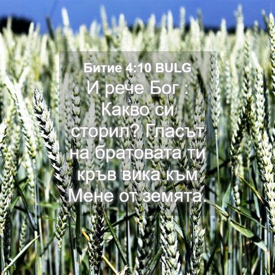 Picture 04 - Битие 4:10 BULG - И рече Бог : Какво си - Bible Verse Picture