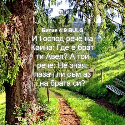 Picture 04 - Битие 4:9 BULG - И Господ рече на Каина: Где - Bible Verse Picture