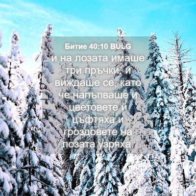 Picture 04 - Битие 40:10 BULG - и на лозата имаше три - Bible Verse Picture
