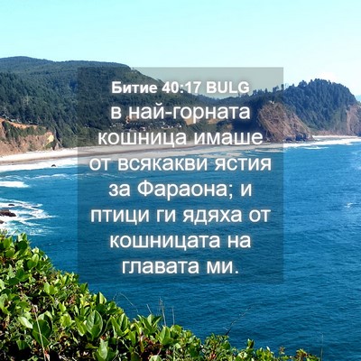 Picture 04 - Битие 40:17 BULG - в най-горната кошница - Bible Verse Picture