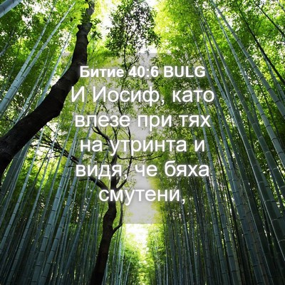 Picture 04 - Битие 40:6 BULG - И Иосиф, като влезе при тях - Bible Verse Picture