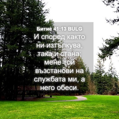 Picture 04 - Битие 41:13 BULG - И според както ни - Bible Verse Picture