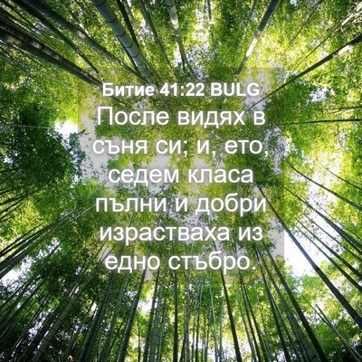 Picture 04 - Битие 41:22 BULG - После видях в съня си; и, - Bible Verse Picture