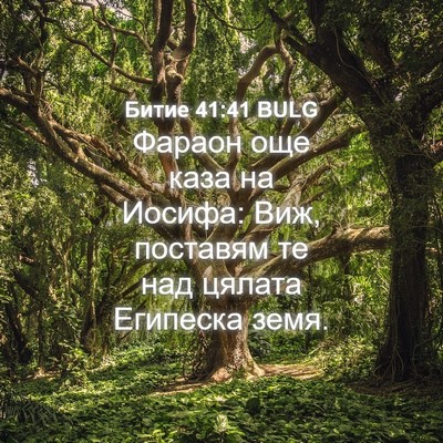 Picture 04 - Битие 41:41 BULG - Фараон още каза на Иосифа: - Bible Verse Picture