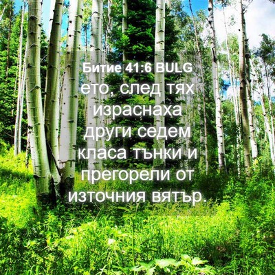 Picture 04 - Битие 41:6 BULG - ето, след тях израснаха - Bible Verse Picture