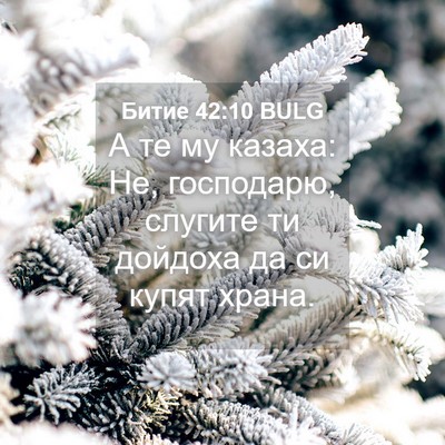Picture 04 - Битие 42:10 BULG - А те му казаха: Не, - Bible Verse Picture