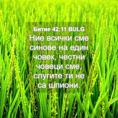 Picture 04 - Битие 42:11 BULG - Ние всички сме синове на - Bible Verse Picture