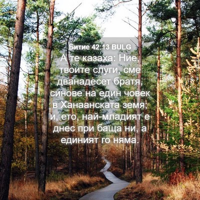 Picture 04 - Битие 42:13 BULG - А те казаха: Ние, твоите - Bible Verse Picture