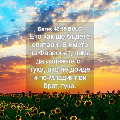Picture 04 - Битие 42:15 BULG - Ето как ще бъдете опитани: - Bible Verse Picture