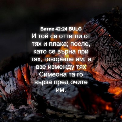 Picture 04 - Битие 42:24 BULG - И той се оттегли от тях и - Bible Verse Picture