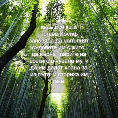 Picture 04 - Битие 42:25 BULG - Тогава Иосиф заповяда да - Bible Verse Picture