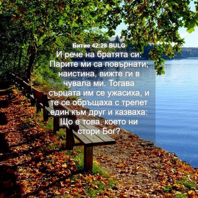 Picture 04 - Битие 42:28 BULG - И рече на братята си: - Bible Verse Picture