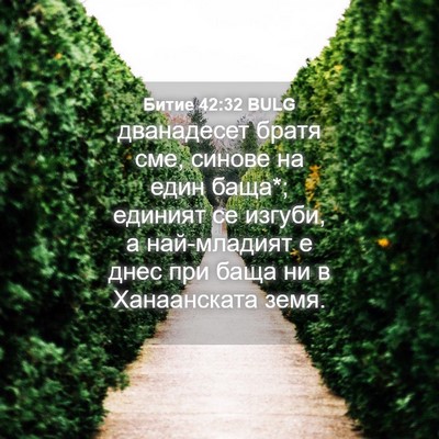 Picture 04 - Битие 42:32 BULG - дванадесет братя сме, - Bible Verse Picture