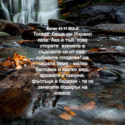 Picture 04 - Битие 43:11 BULG - Тогава, баща им Израил - Bible Verse Picture