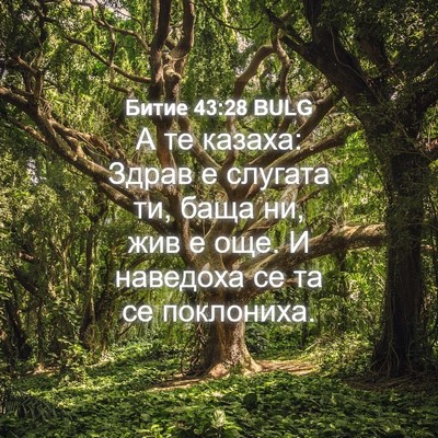 Picture 04 - Битие 43:28 BULG - А те казаха: Здрав е - Bible Verse Picture