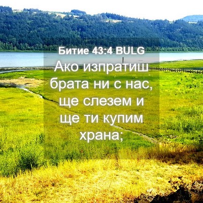 Picture 04 - Битие 43:4 BULG - Ако изпратиш брата ни с - Bible Verse Picture