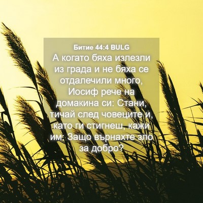 Picture 04 - Битие 44:4 BULG - А когато бяха излезли из - Bible Verse Picture