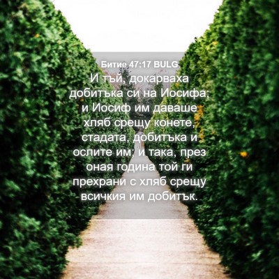 Picture 04 - Битие 47:17 BULG - И тъй, докарваха добитъка - Bible Verse Picture