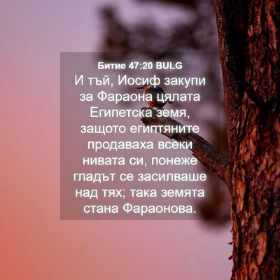 Picture 04 - Битие 47:20 BULG - И тъй, Иосиф закупи за - Bible Verse Picture