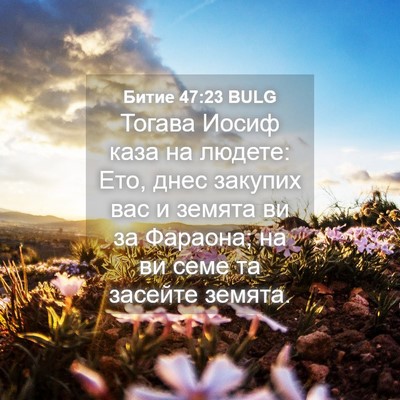 Picture 04 - Битие 47:23 BULG - Тогава Иосиф каза на - Bible Verse Picture