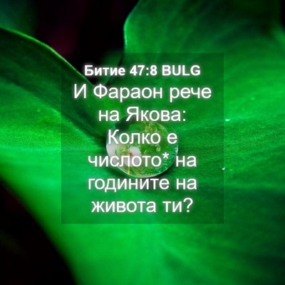Picture 04 - Битие 47:8 BULG - И Фараон рече на Якова: - Bible Verse Picture