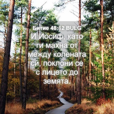 Picture 04 - Битие 48:12 BULG - И Иосиф, като ги махна от - Bible Verse Picture