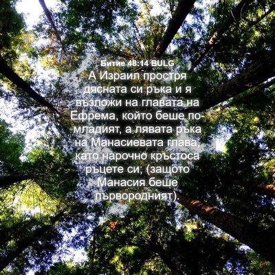 Picture 04 - Битие 48:14 BULG - А Израил простря дясната - Bible Verse Picture