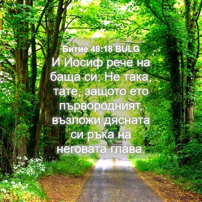 Picture 04 - Битие 48:18 BULG - И Иосиф рече на баща си: Не - Bible Verse Picture