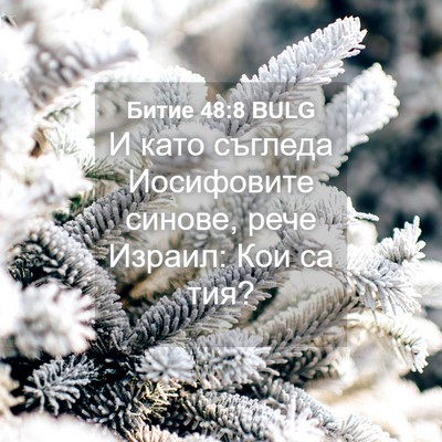 Picture 04 - Битие 48:8 BULG - И като съгледа Иосифовите - Bible Verse Picture