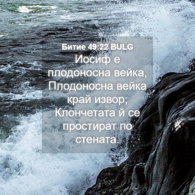Picture 04 - Битие 49:22 BULG - Иосиф е плодоносна вейка, - Bible Verse Picture