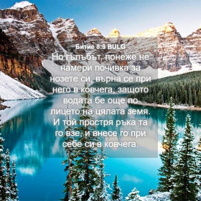 Picture 04 - Битие 8:9 BULG - Но гълъбът, понеже не - Bible Verse Picture