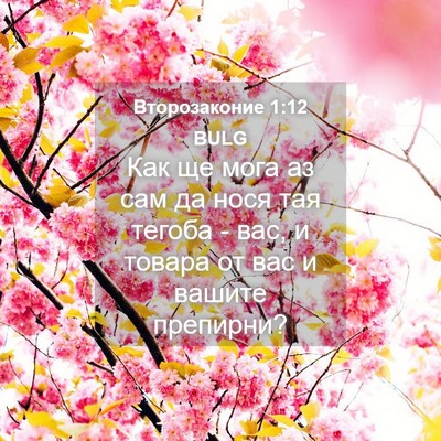 Picture 04 - Второзаконие 1:12 BULG - Как ще мога аз сам да нося - Bible Verse Picture