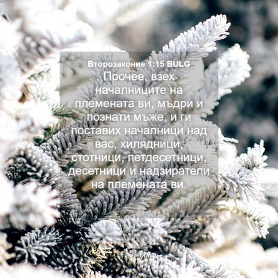 Picture 04 - Второзаконие 1:15 BULG - Прочее, взех началниците - Bible Verse Picture