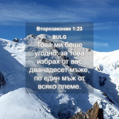 Picture 04 - Второзаконие 1:23 BULG - Това ми беше угодно: за - Bible Verse Picture
