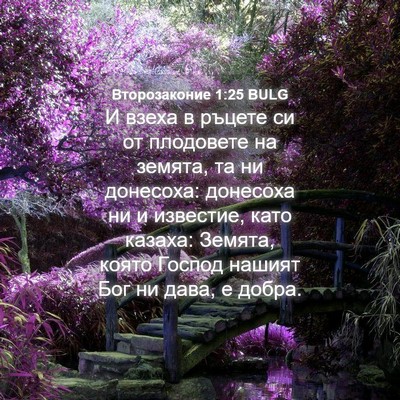 Picture 04 - Второзаконие 1:25 BULG - И взеха в ръцете си от - Bible Verse Picture