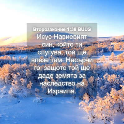 Picture 04 - Второзаконие 1:38 BULG - Исус Навиевият син, който - Bible Verse Picture
