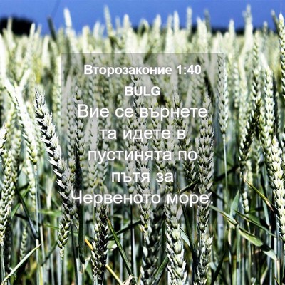 Picture 04 - Второзаконие 1:40 BULG - Вие се върнете та идете в - Bible Verse Picture