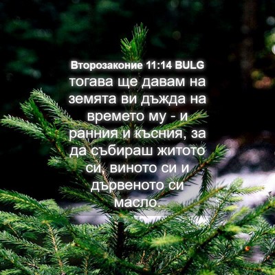 Picture 04 - Второзаконие 11:14 BULG - тогава ще давам на земята - Bible Verse Picture