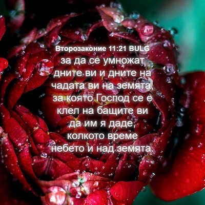 Picture 04 - Второзаконие 11:21 BULG - за да се умножат дните ви и - Bible Verse Picture