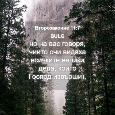 Picture 04 - Второзаконие 11:7 BULG - но на вас говоря, чиито очи - Bible Verse Picture