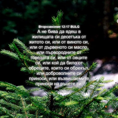 Picture 04 - Второзаконие 12:17 BULG - А не бива да ядеш в - Bible Verse Picture